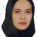 فائزه جعفری زاده جرجافکی