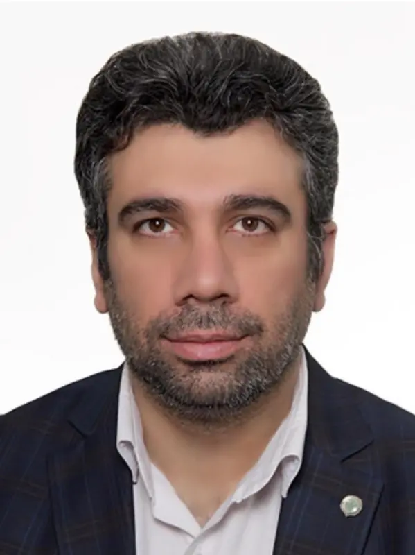 حامد نبی زاده