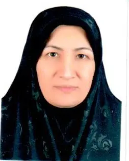 مریم میری