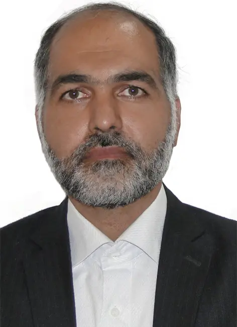 سید مجید هاشمی امرئی