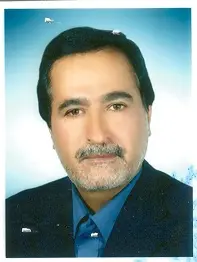 محسن سلمانی پور