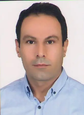 حمید نبی