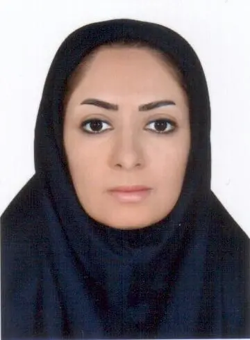 بهین شهبازی