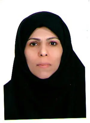 مهرافزا دباغی قلعه