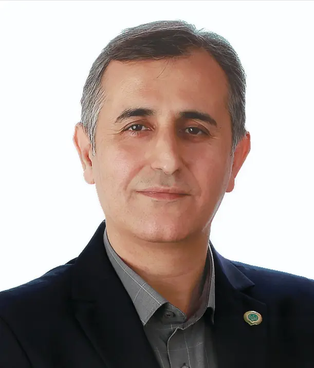 محسن اسماعیلی