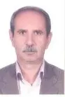 بهمن حمزه زاده