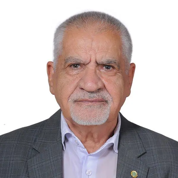 حسین هاشمی حسین آبادی