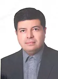 پیمان حسین زاده