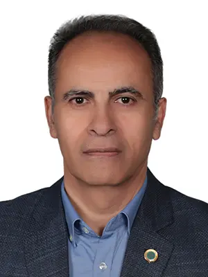 سیدمحمدمهدی عارف