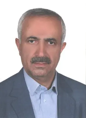محسن محمدی برنجستانکی