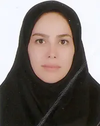 صاحبه سیار