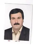 مجتبی روشن زاده