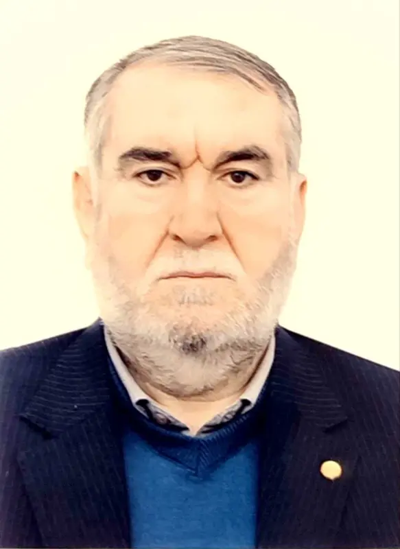 محمد محمدی دهنو