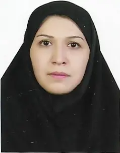 عفت حمزه حسین آبادی