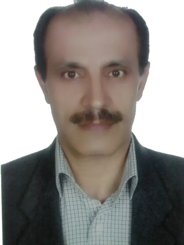 رضا امینی