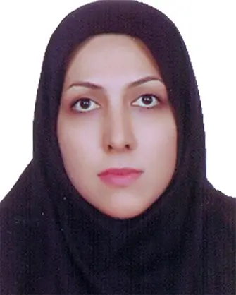 مریم خاموشی قلعه نوئی
