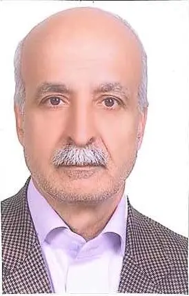 یوسف مویزی بهنمون