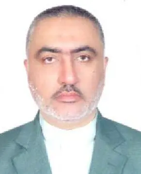 محمدرضا حمیدی