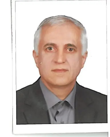 همایون مافی