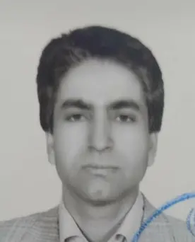 فردین رفیعی ساردوئی