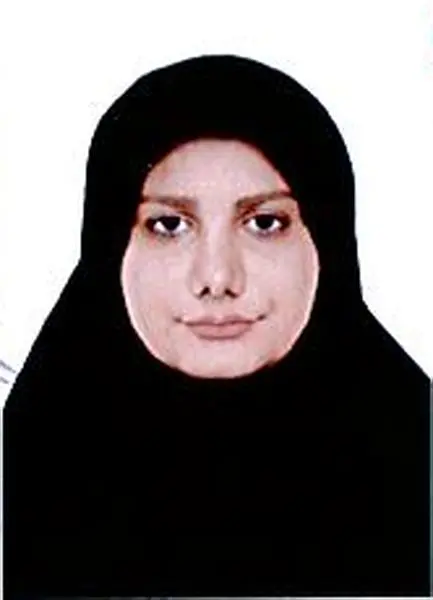 مینا سلیمانزاده ینکی ارخ