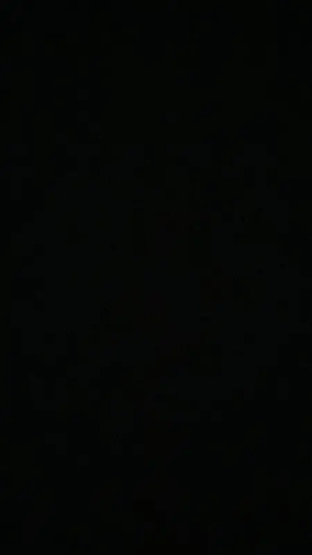 پریسا توحیدی نژاد