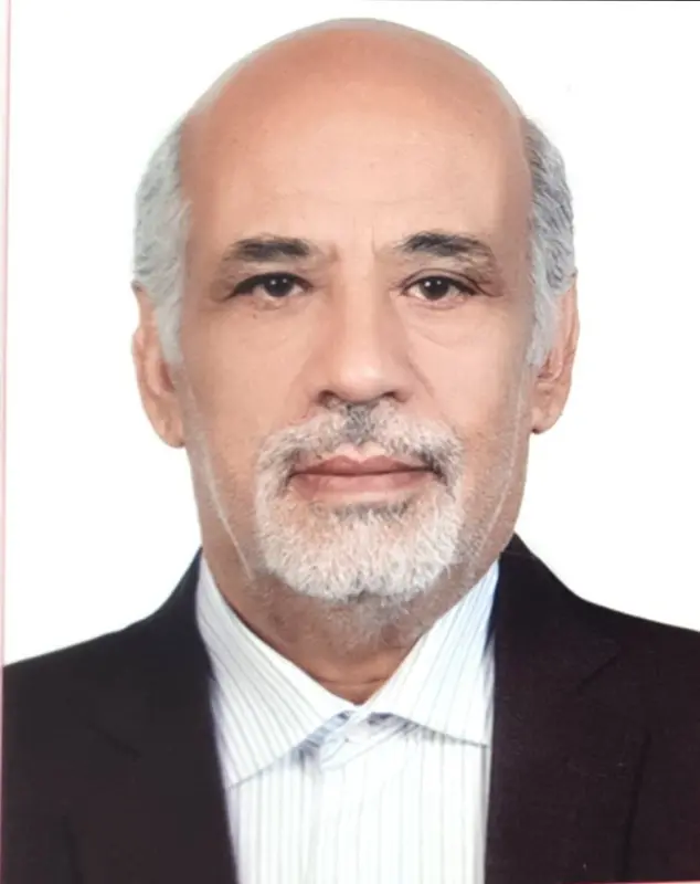حسین رضا هادی شایسته