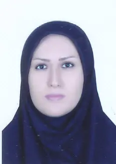 سیده آرزو حسینی