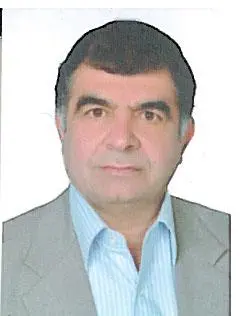علی ملکی