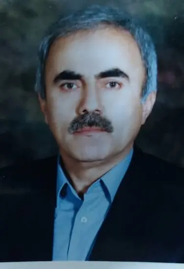 محمدرضا مستوفی