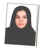 اعظم شیخ زاده فولاد لوقوئی