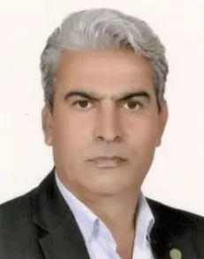حسین حبیبی