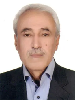 احمد صلاحی
