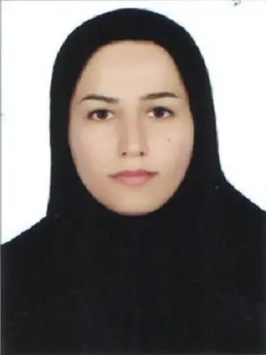 میترا بوری