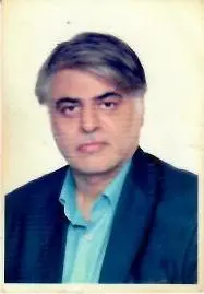 حسن دولی