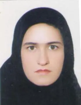 سمیه محمدی
