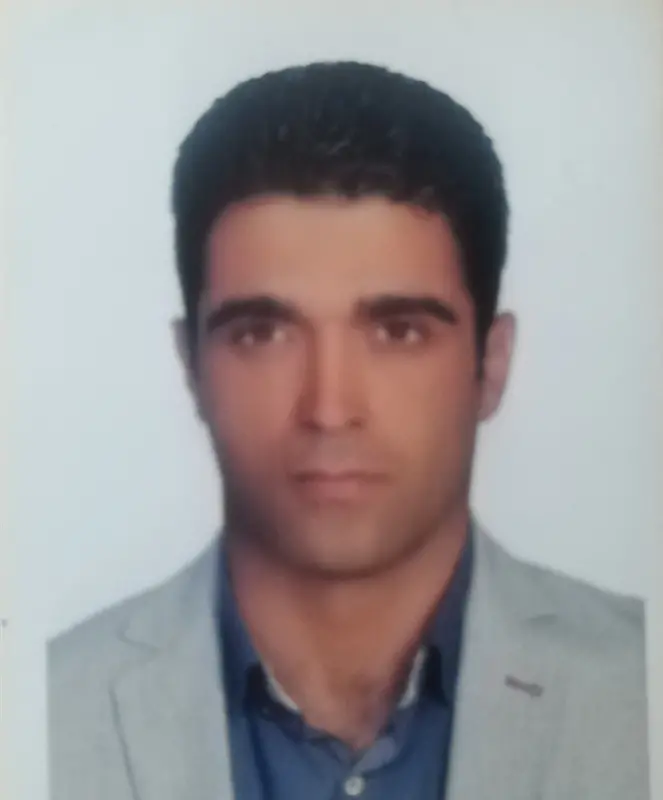 هادی ملاحسنی