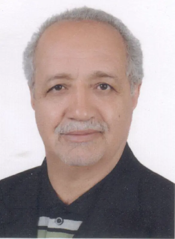 ابوالقاسم حمزه لویی