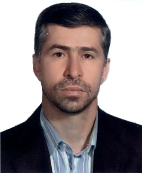 مجید ربیعی