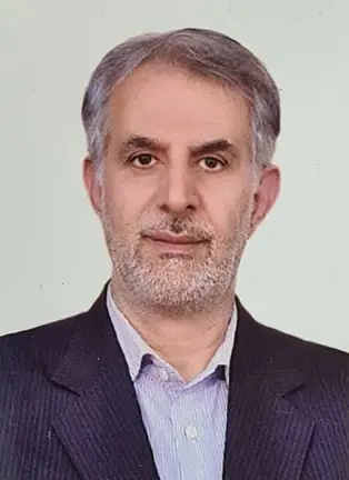 محمود رجبی پور
