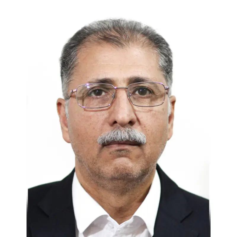 سید مجید نبوی