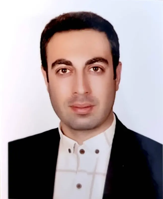 رضا برجی
