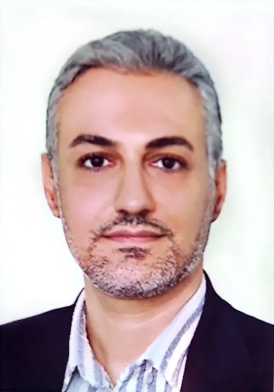 وحید منصوبی کجیدی