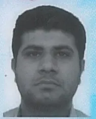 مجتبی افضلی