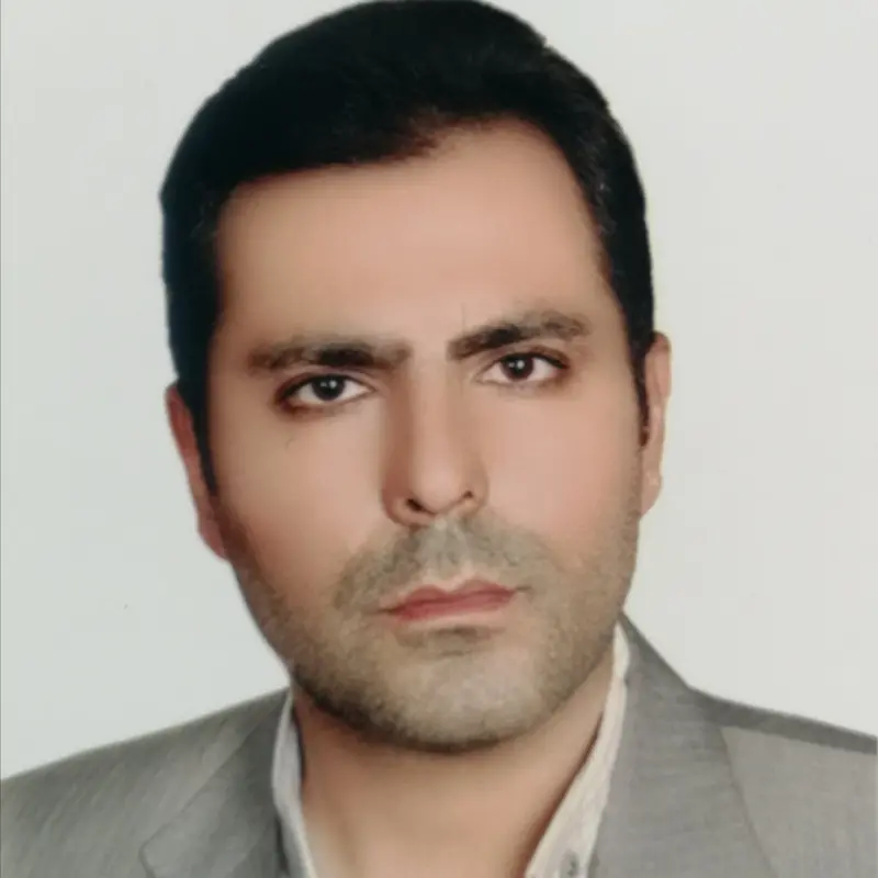 محمد زیلوئی