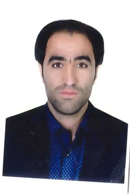 هادی کریمی