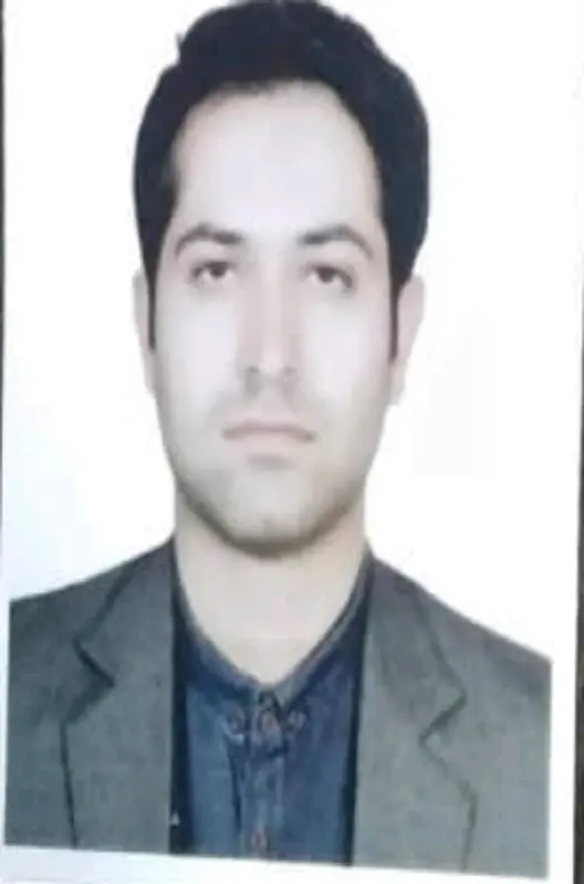 حامد رضایی