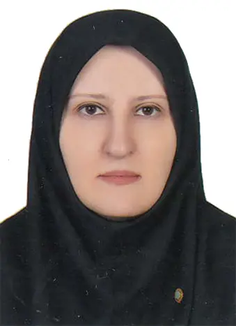 مینا میرمحمدصادقی