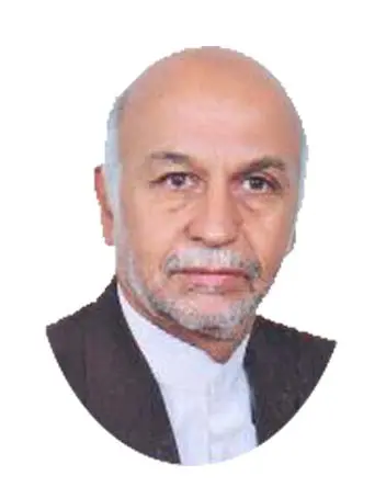 سیدحسین ضیائی سیستانی
