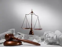 نیر شاکری